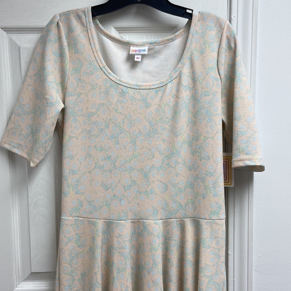 Lularoe dress pink and Light blue paisley pattern